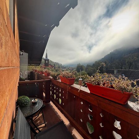 Pensiunea Drumul Iancului Vidra  Exterior foto