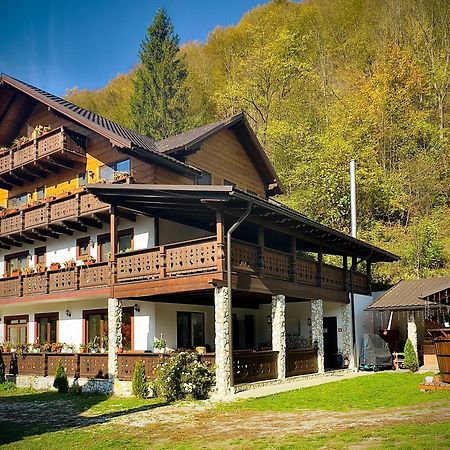 Pensiunea Drumul Iancului Vidra  Exterior foto